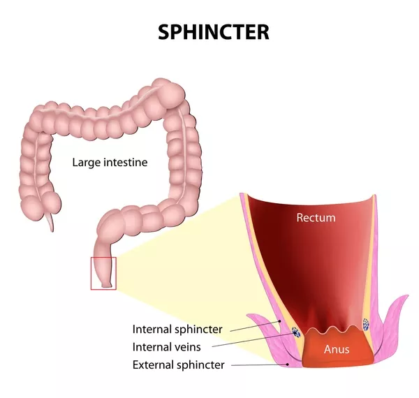 Sphincter Preservation
